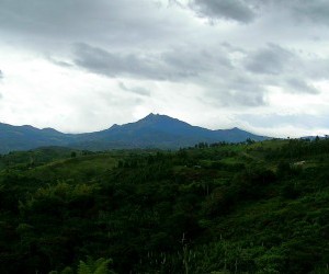 National Natural Park Munchique Source: wikimedia.org by C arango