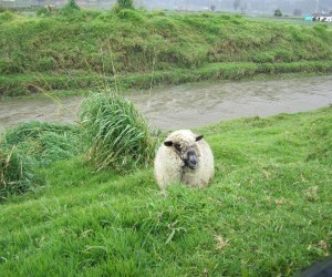 Boyaca (Source: Uff.Travel)